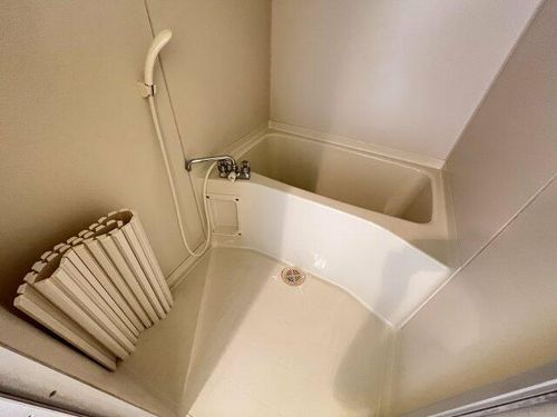 パインリーフ和泉202の風呂