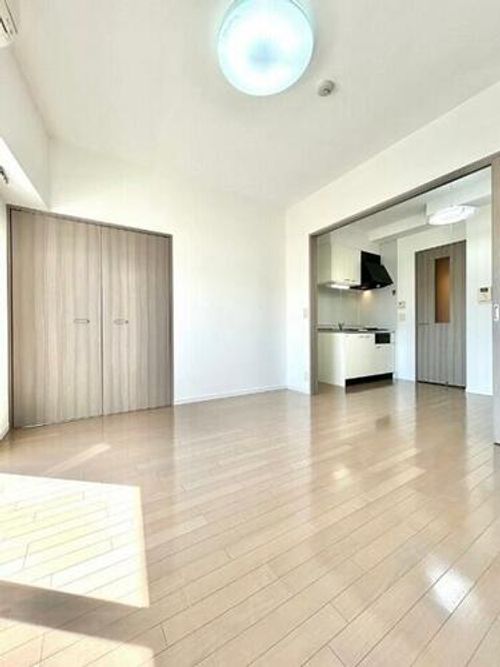 大阪府堺市中区深井清水町(マンション)の賃貸物件の内装