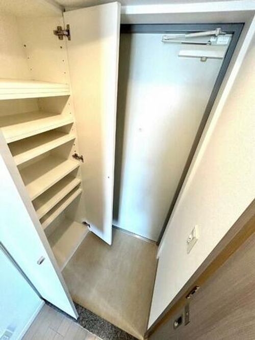 大阪府堺市中区深井清水町(マンション)の賃貸物件の玄関