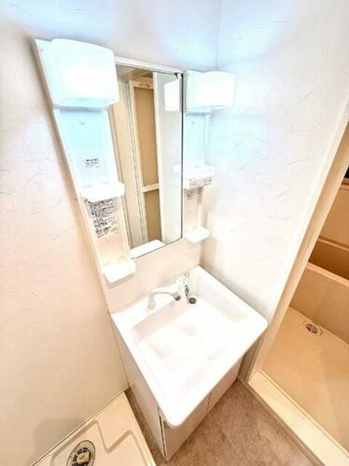 大阪府堺市堺区東雲西町3丁(アパート)の賃貸物件の内装