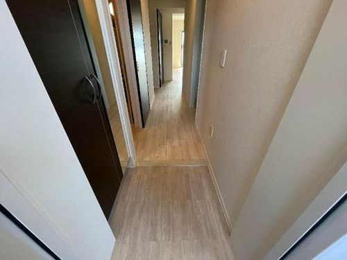 CITRUS TREEの玄関