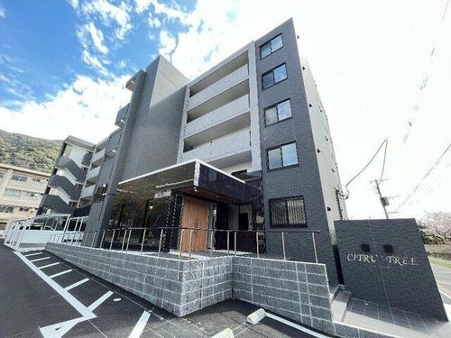 CITRUS TREEの外観