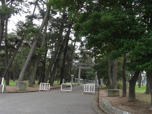 サンハイツ浜の宮Dの周辺