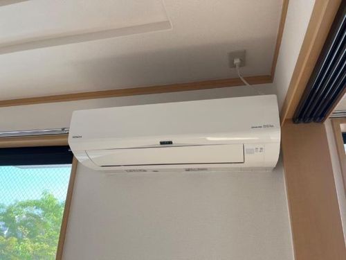 マウントック・レオのその他画像