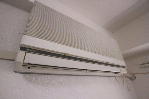 フェリックス福田のその他画像