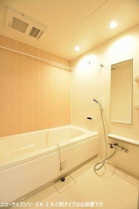 メゾン・レゾナンス Iの風呂