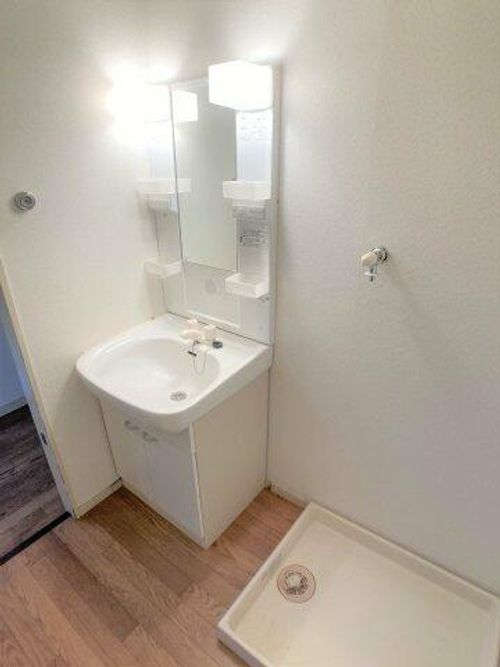 ハイツ瑠紫庵202の内装