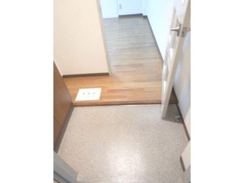 リードⅡオカダマンションの玄関