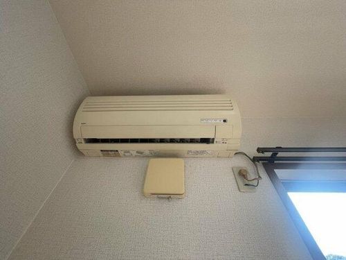 パーシモン・フィールドのその他画像