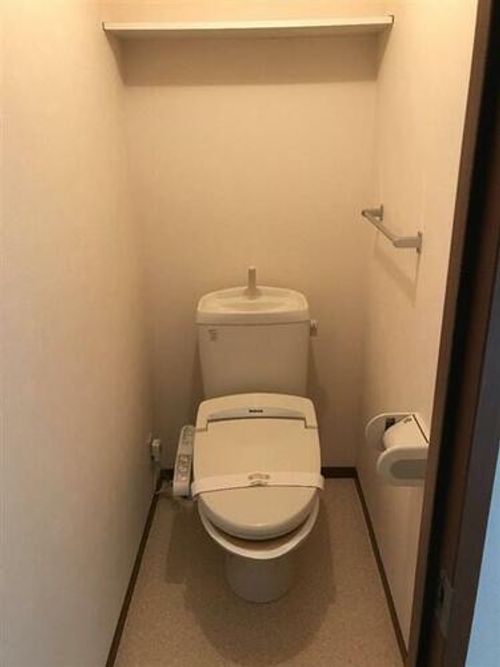 アネックス ハイブリッジ B棟101の内装