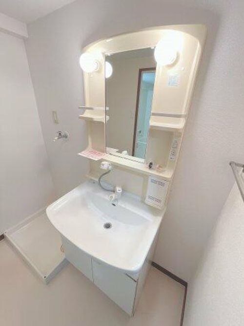 大阪府藤井寺市沢田2丁目(マンション)の賃貸物件の内装