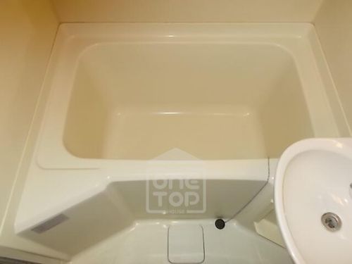 グリーンピア大蔵司1の風呂