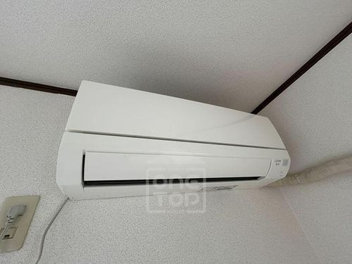 フルブルームのその他画像