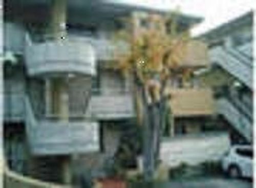 愛知県名古屋市千種区池上町2丁目(マンション)の賃貸物件の外観