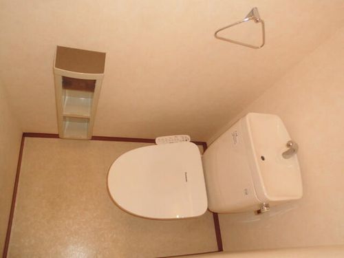 レオン金杜の内装