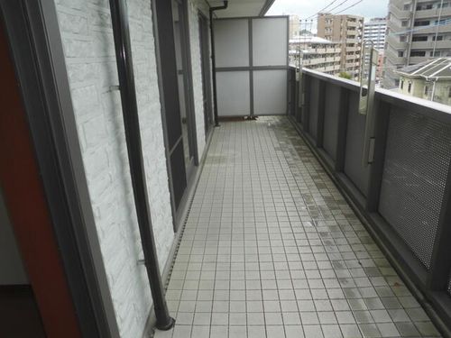 レオン金杜の内装