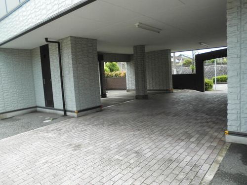 レオン金杜のその他画像