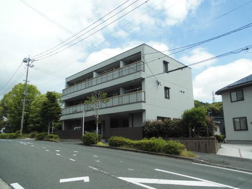 レオン金杜の外観