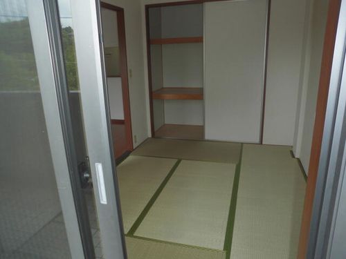 レオン金杜のその他画像