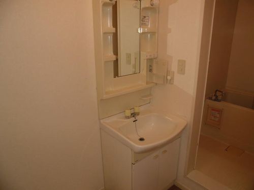 プルメリアのその他画像