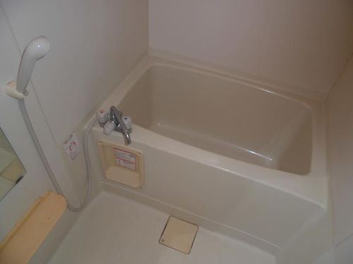 プルメリアのその他画像