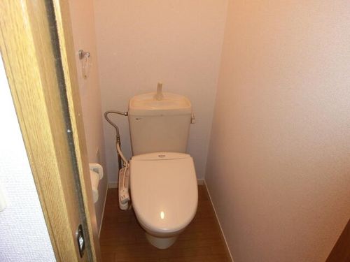 プルメリアのその他画像