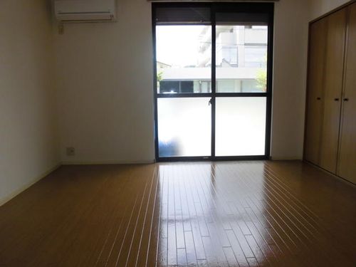 プルメリアのその他画像