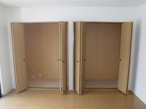 プルメリアのその他画像