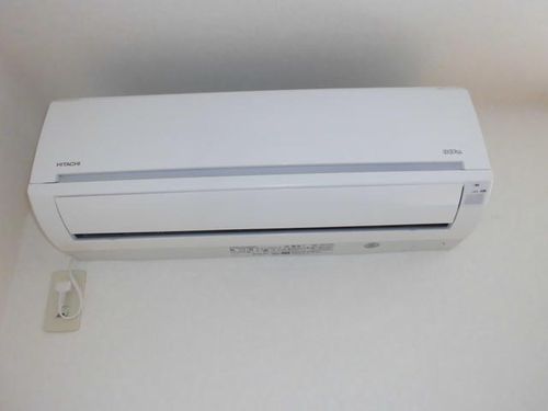 プルメリアのその他画像