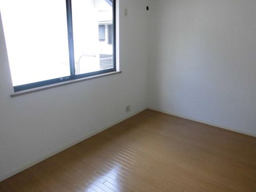 プルメリアのその他画像