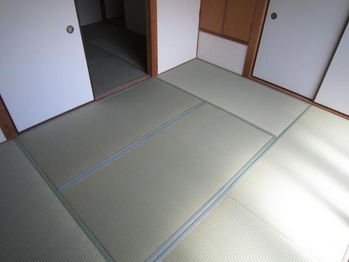 兵庫県神戸市須磨区大黒町2丁目(一戸建)の賃貸物件のその他画像