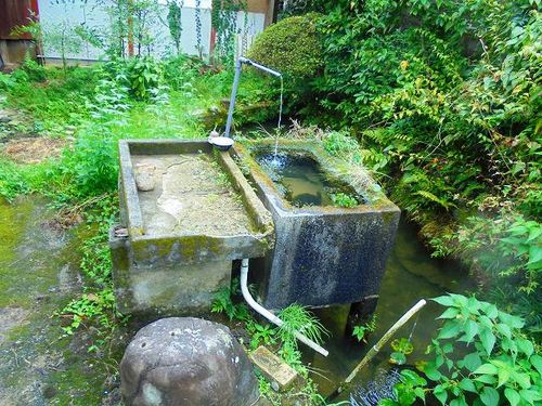 京都府京都市右京区梅ケ畑奥殿町(一戸建)の賃貸物件のその他画像