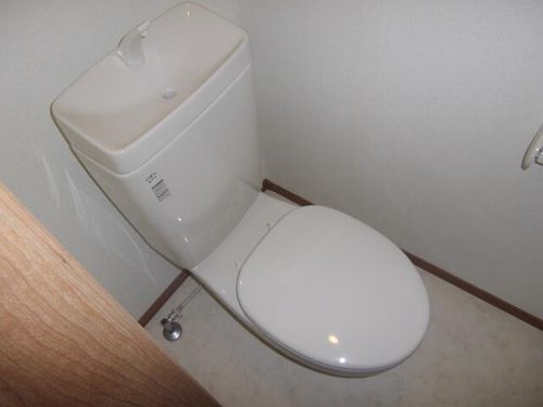 大阪府岸和田市上野町西(一戸建)の賃貸物件203のその他画像