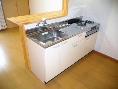 プラージュ浜田町201のキッチン