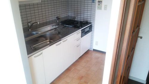 大阪府堺市西区上野芝町3丁(マンション)の賃貸物件のキッチン