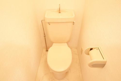 ピュアフォレストのその他画像