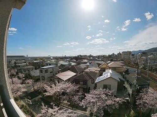 ルネッサコート芦屋のその他画像