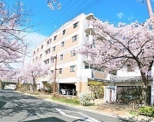ルネッサコート芦屋の外観