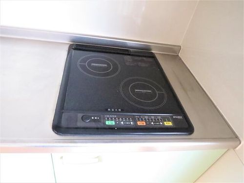 テルピンハウス202のキッチン