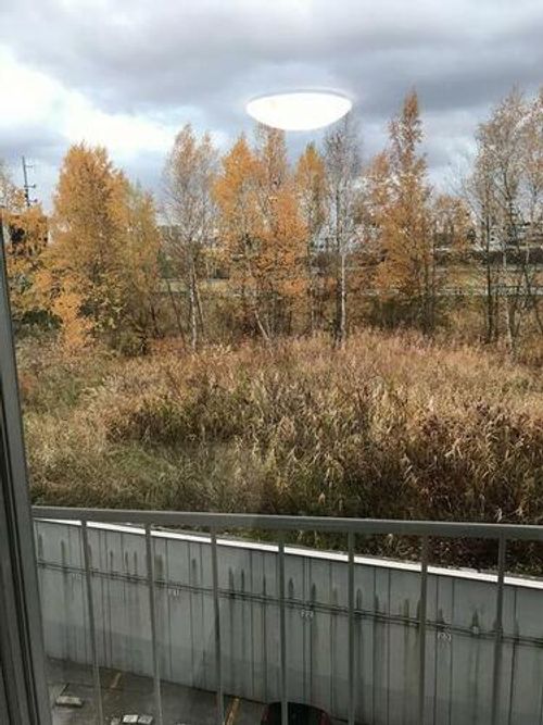 中島公園ハウス311のその他画像