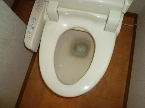 大阪府大阪市西成区天下茶屋3丁目(マンション)の賃貸物件505のその他画像