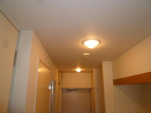 大阪府大阪市西成区天下茶屋3丁目(マンション)の賃貸物件505のその他画像