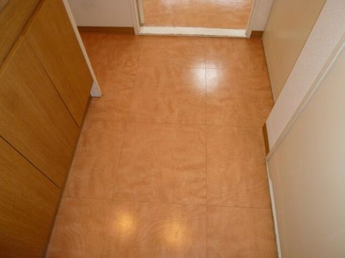 大阪府大阪市西成区天下茶屋3丁目(マンション)の賃貸物件505のその他画像