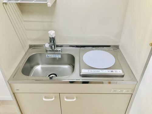 ロイヤルコート大橋Ⅱ102の内装