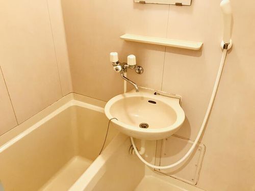 ロイヤルコート大橋Ⅱ102の内装