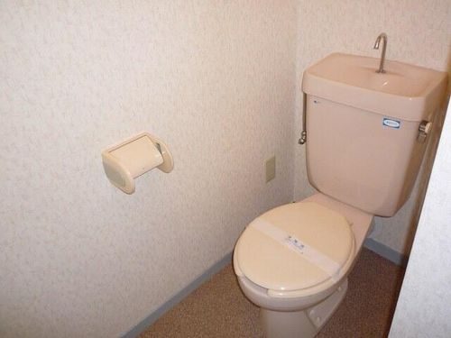 奈良県橿原市上品寺町(マンション)の賃貸物件の内装