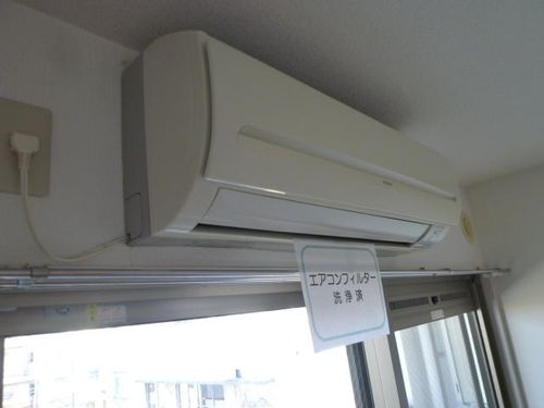 RUMORのその他画像