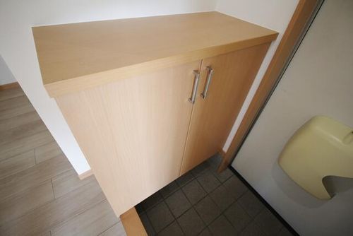愛知県豊川市御津町御馬塩入(アパート)の賃貸物件の玄関