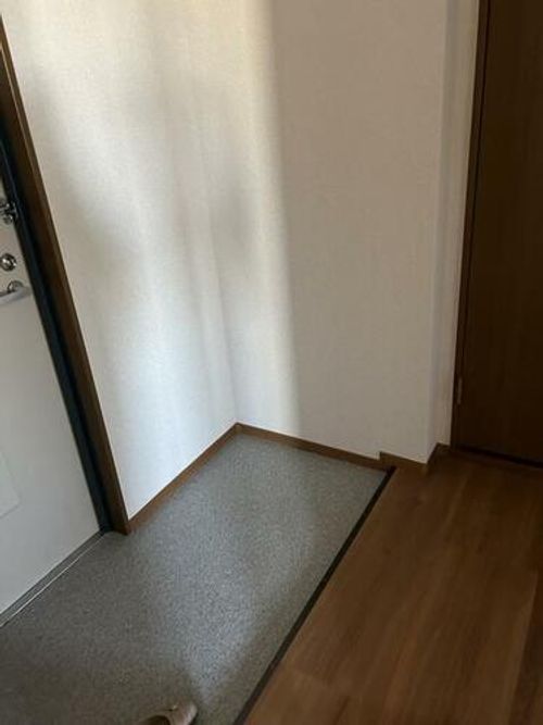 エクセリア城乾301の玄関