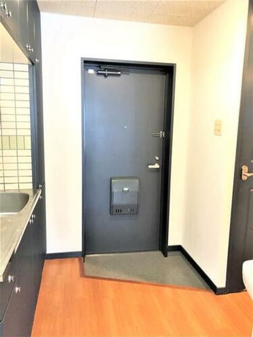 ニューサンリバー8番館の玄関
